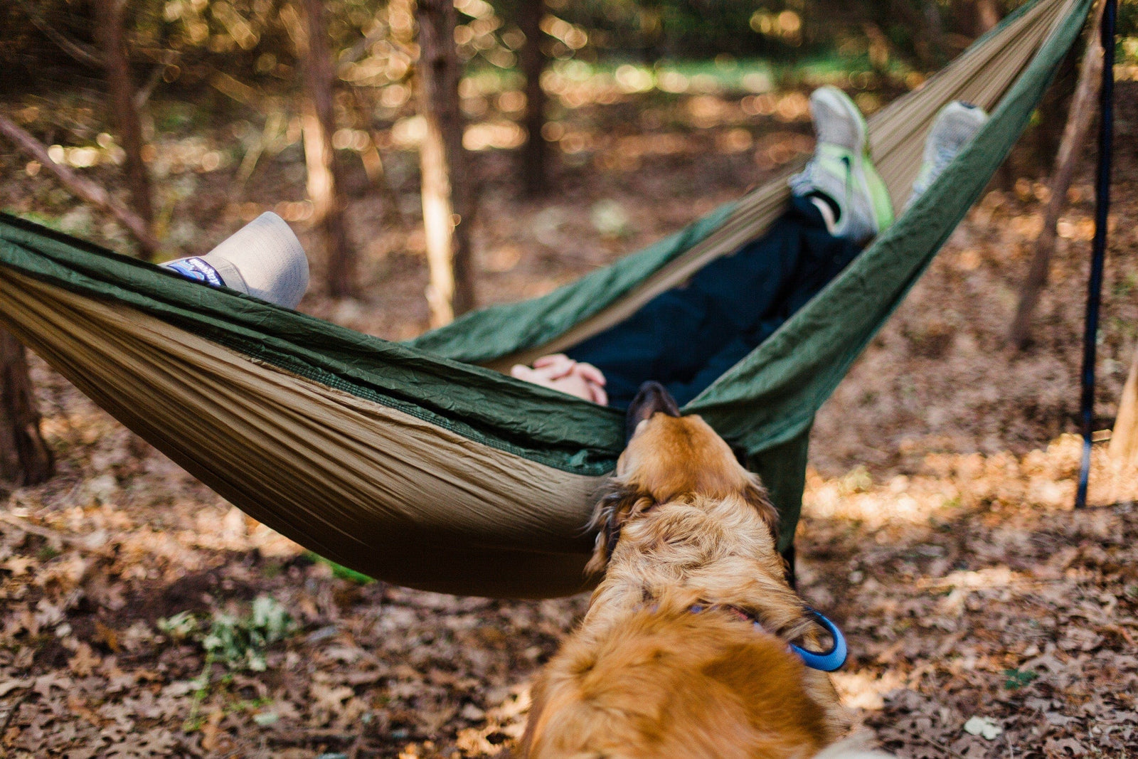 personne dans un hamac en forêt