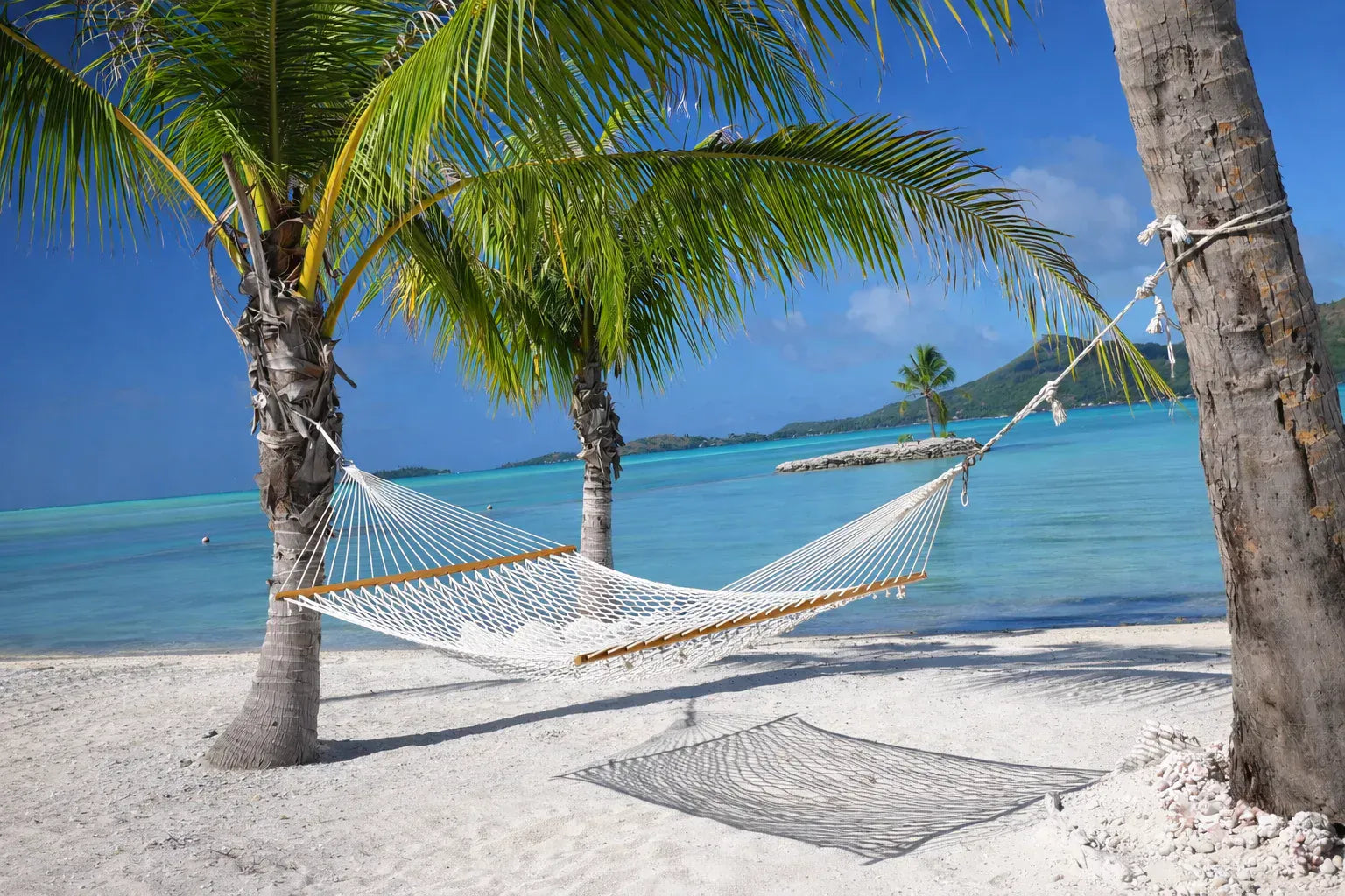 Hamac Univers Hammock Kit Hamac double en corde de coton avec sangles de fixation et sac de transport inclus 642135812181 50501-PWT+HTS-B+SBHC