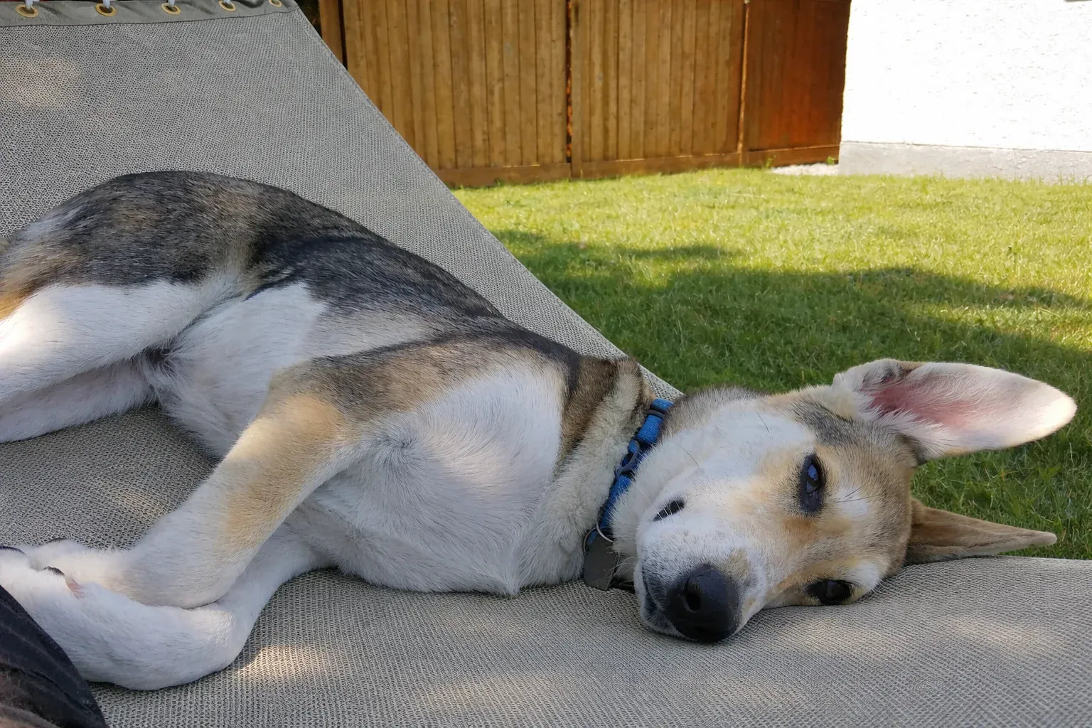 Hamac Univers Ensembles Hamac avec Support Hamac pour piscine avec Support de 15 pieds