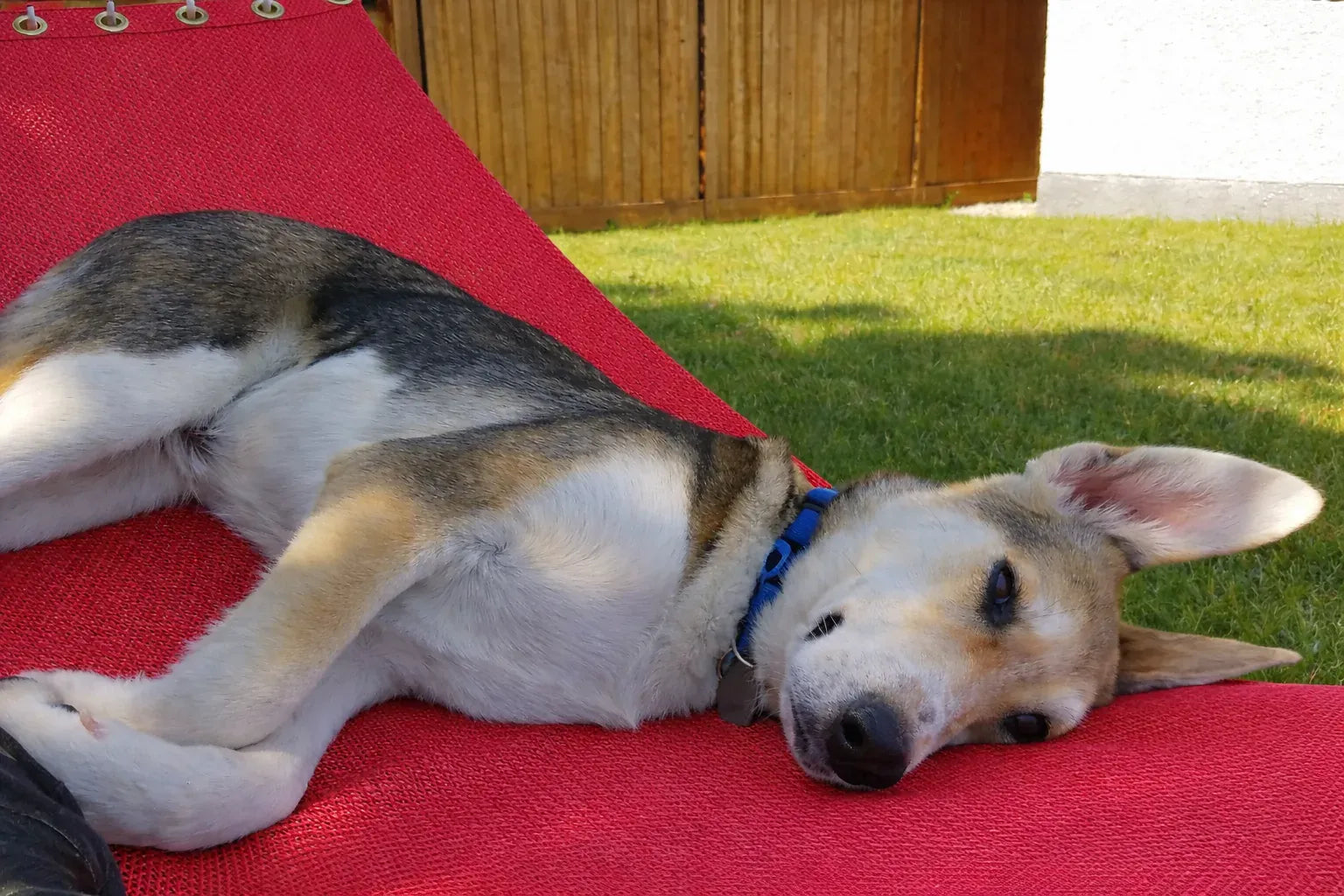 Hamac Univers Ensembles Hamac avec Support Hamac pour piscine avec Support de 15 pieds