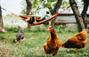 hamac brésilien double multicolores sur une terre avec poules