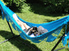 3 campeurs avec un chien