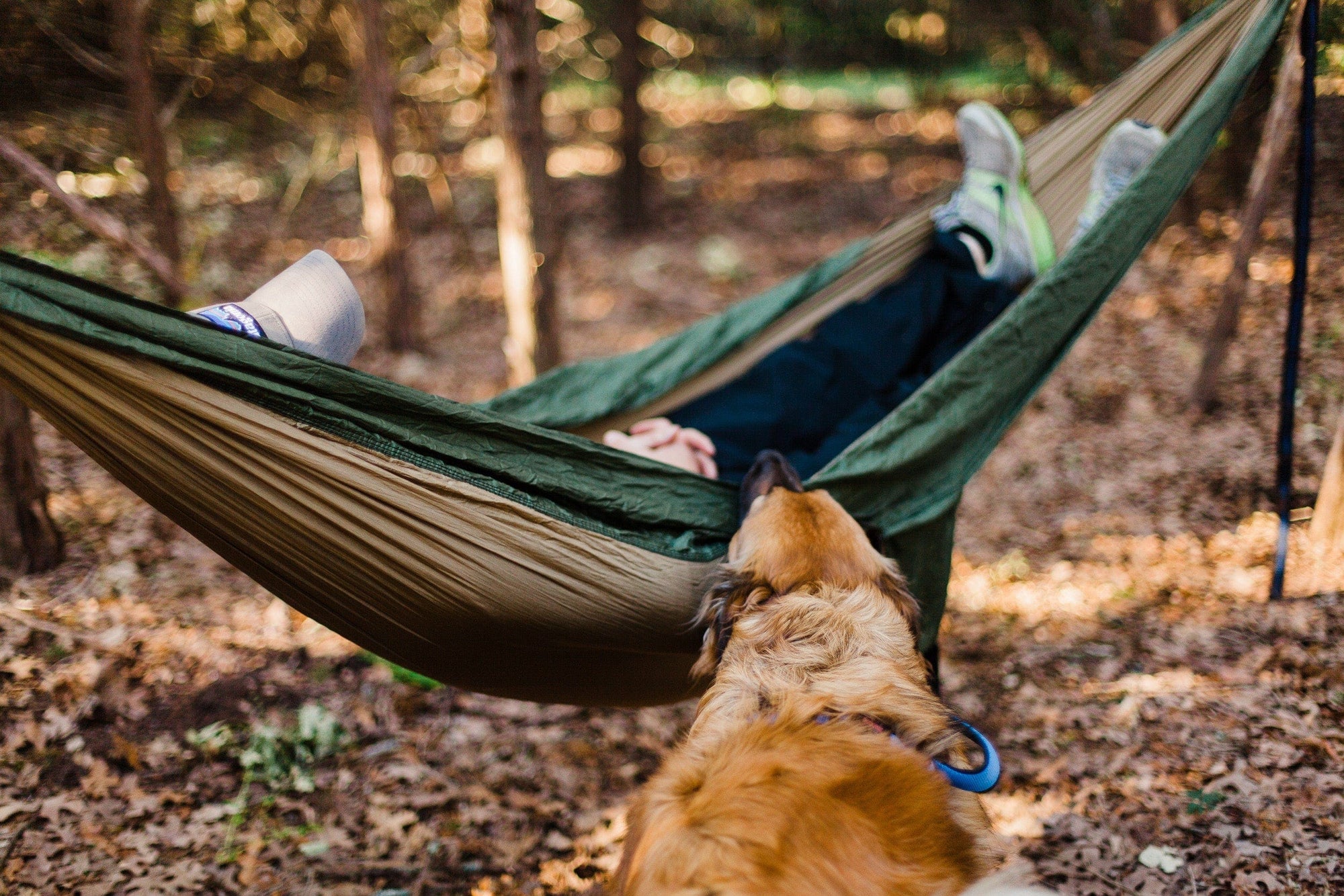 personne dans un hamac en forêt