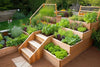 Des projets de jardinage faciles à réaliser pour un habitat plus vert!