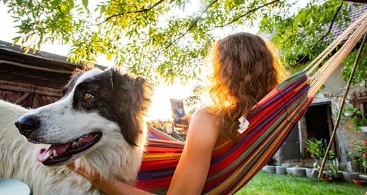 woman in a colouful hammock with a dog