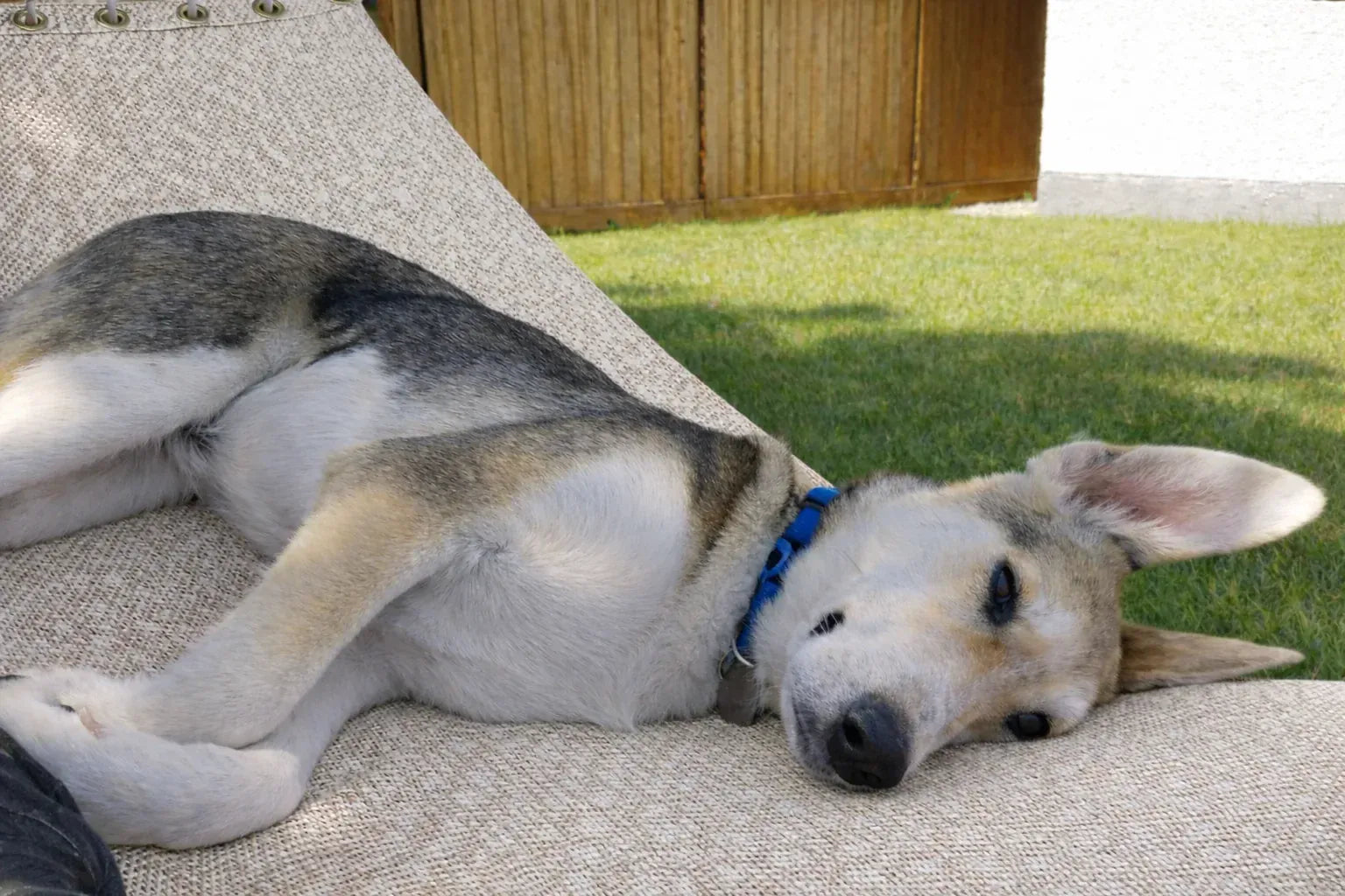 Hamac Univers Ensembles Hamac avec Support Hamac pour piscine avec Support de 15 pieds